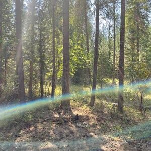 Meet your Posher, Shara